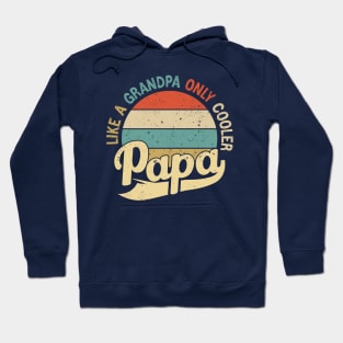 Dad Papa, Men Fathers Day Shirt Like A Grandpa But Cooler Hoodie